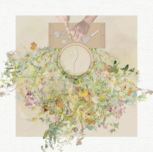 A collage of a garden extracted from memories recorded in the diary.