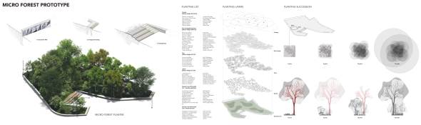 The Miyawaki forest contributes to holding the edge of the Oval, creating different occupiable spaces. 