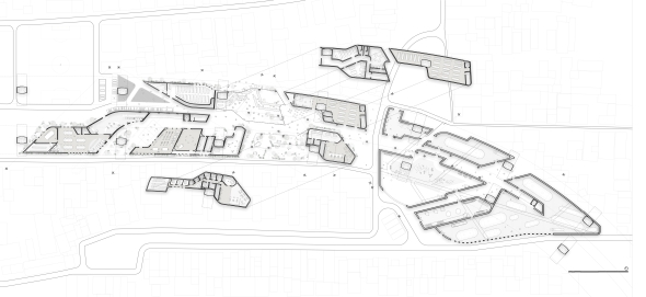 Overall Plan