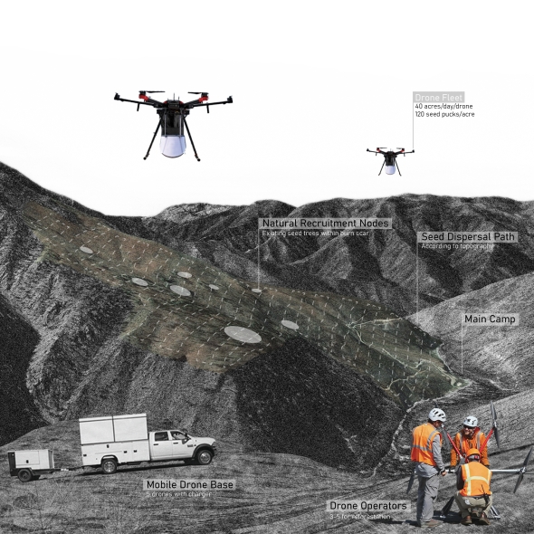 Drone reforestation after forest treatment provides a resilient planting plan