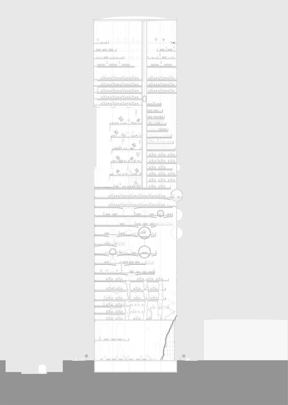 Building Section 