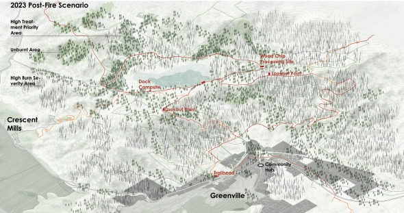 Master plan of the forest treatment on site