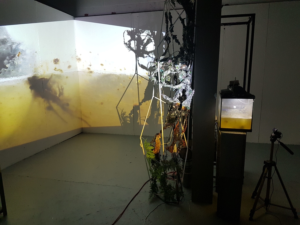 Artist installation with video projecting into the corner of a room 