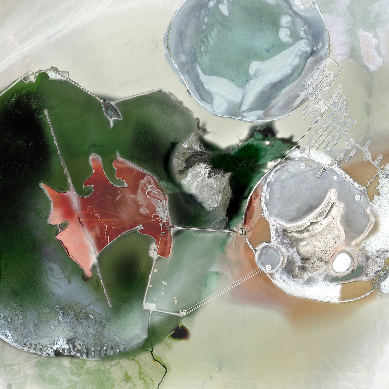 Brine figures with different salinities appears colors from green to red, creating painterly visual effects in order to estrange