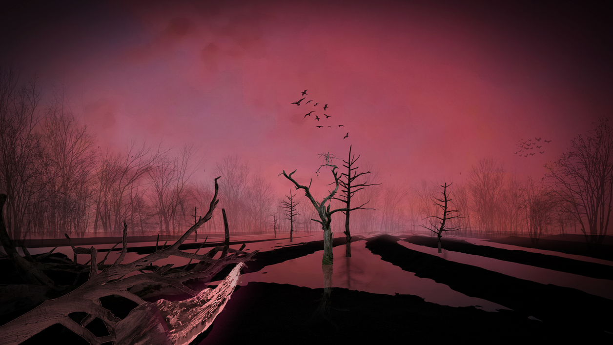 Flooded forest with dead trees to create a habitat for nocturnal birds