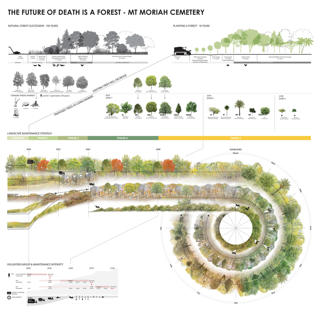 Phased strategy to turn abandoned landscape into a forest cemetery through planting and maintenance ritual