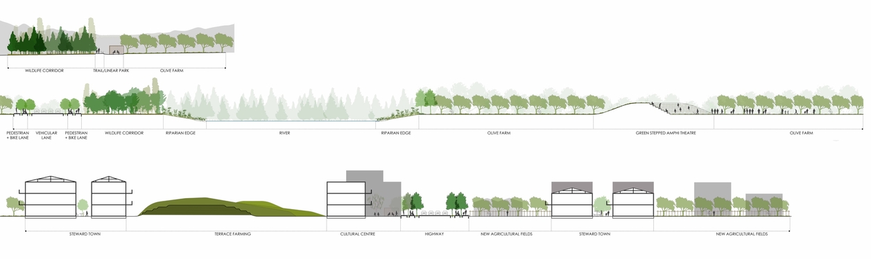 Site Sections through Zone 3: Southern end of the site