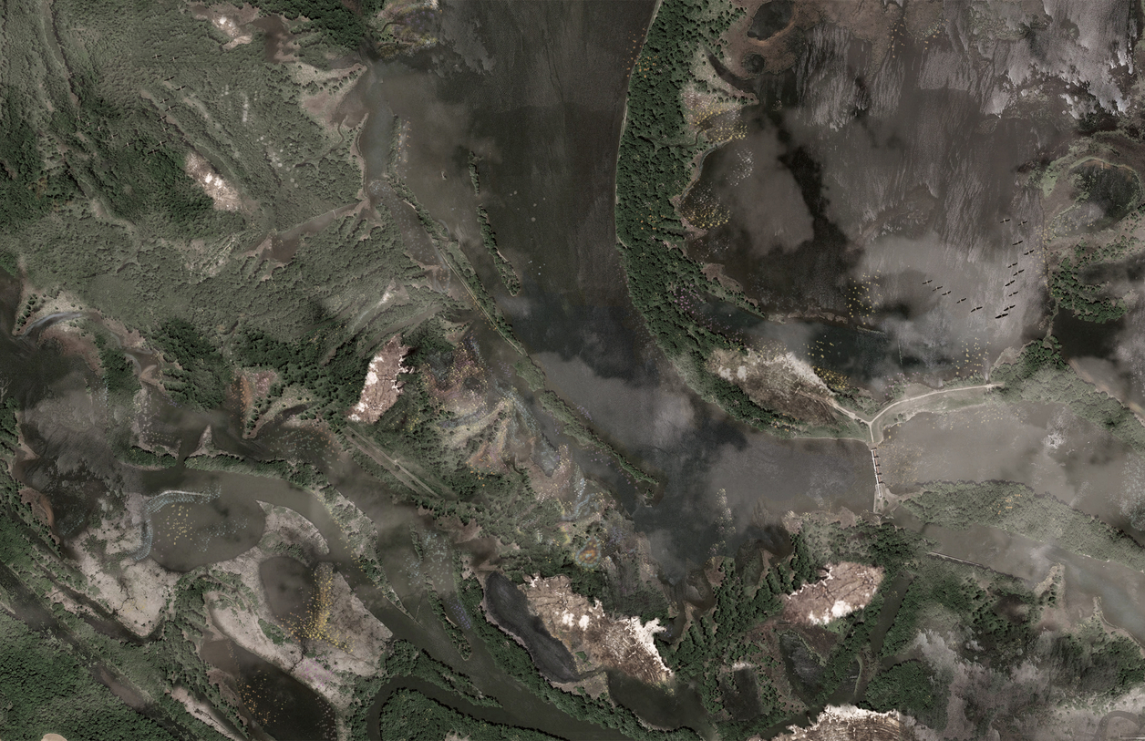 Satellite Image of Remediation Site