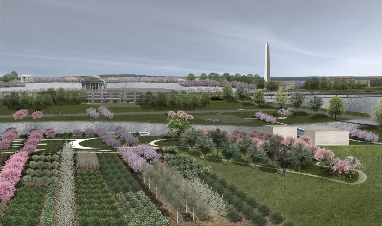 Rose family plants testing field in foreground with DC Tidal Basin and National Mall in background 