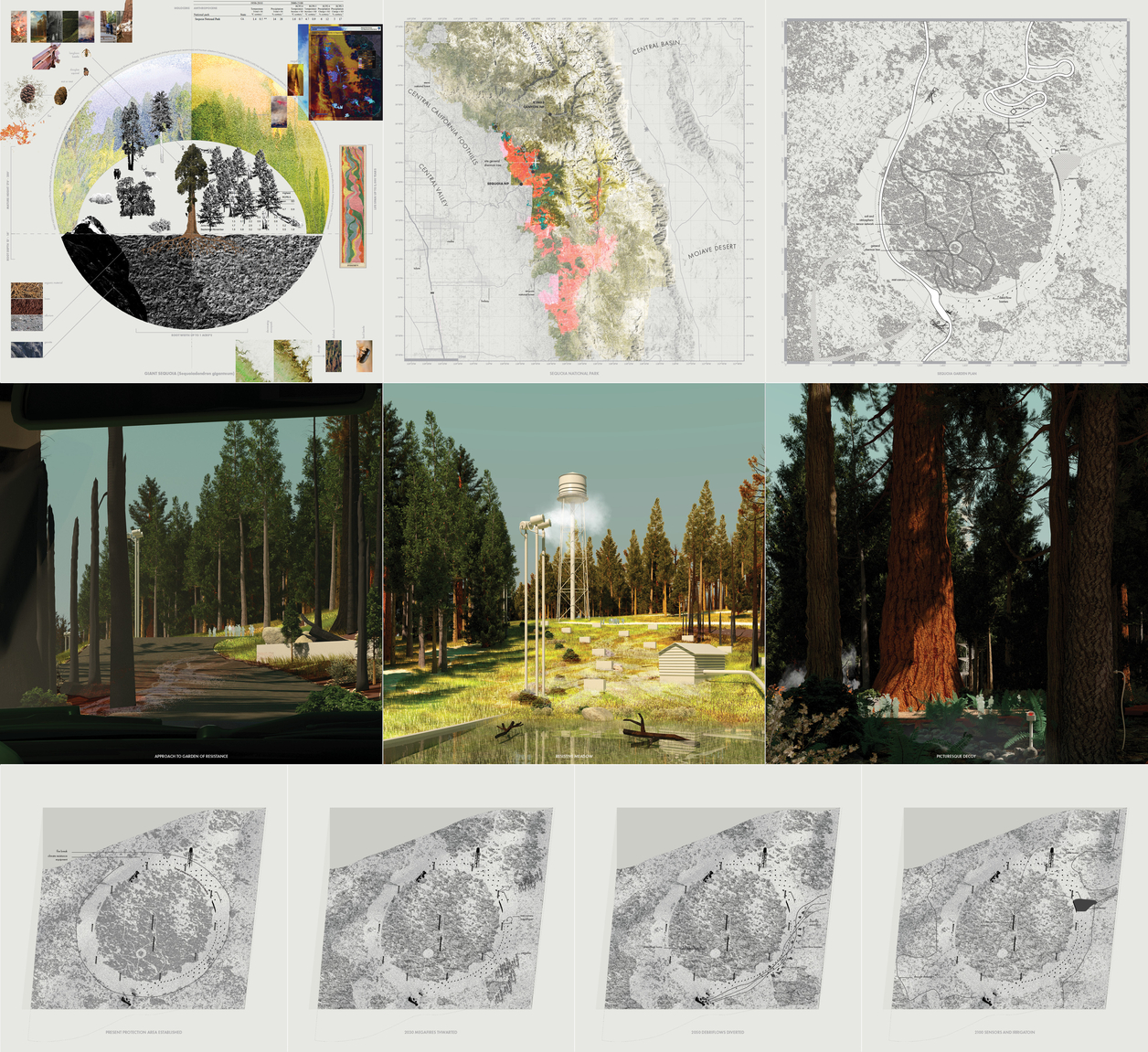Garden of Resistance - Sequoia National Park