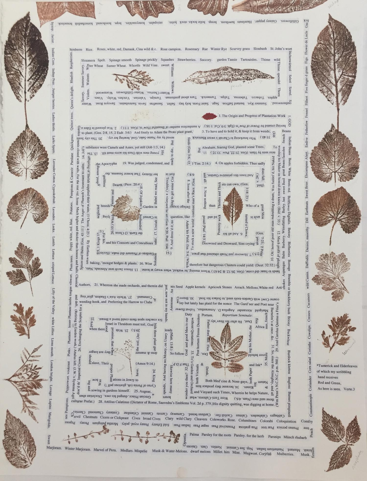 Image of a labyrinth garden in charcoal, pigment and linseed oil