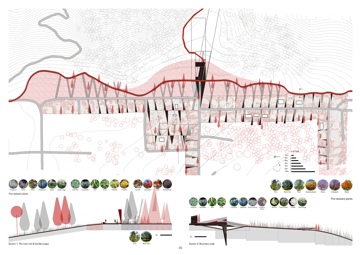 Artistic expression of a typical segment of the boundary system