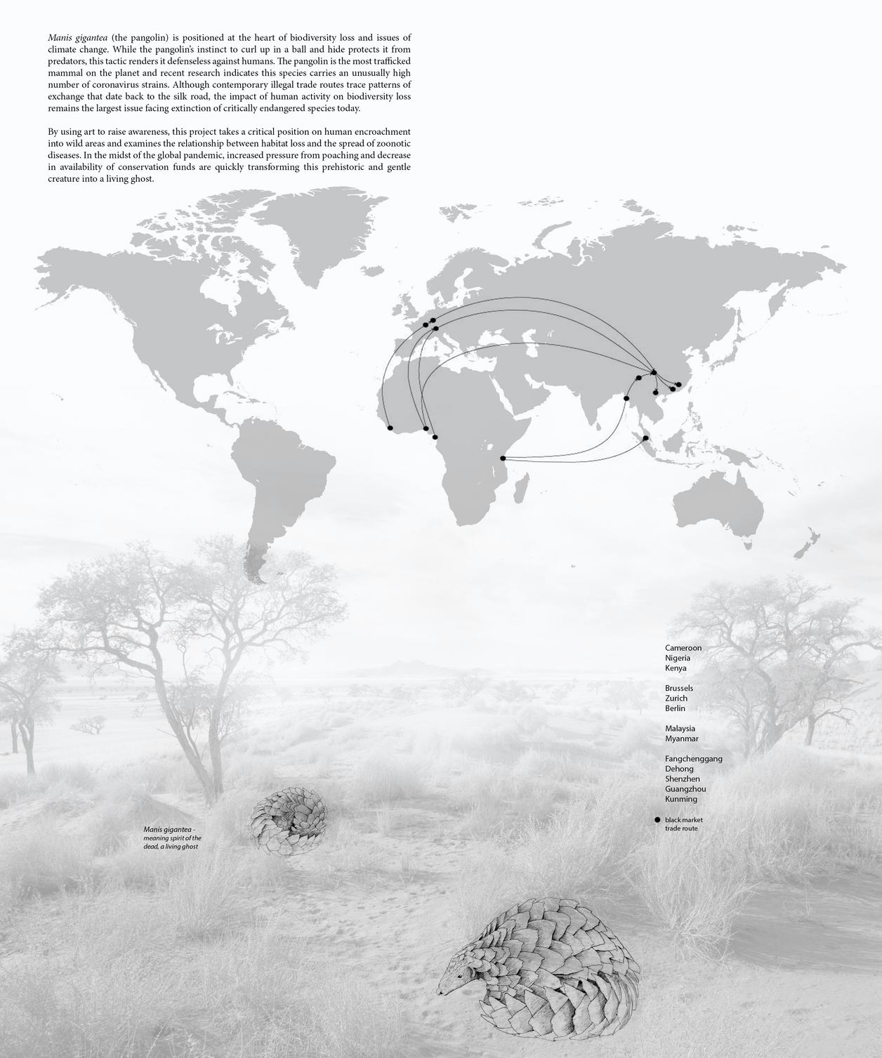 Introduction to Pangolin habitat loss and relationship with global transport networks