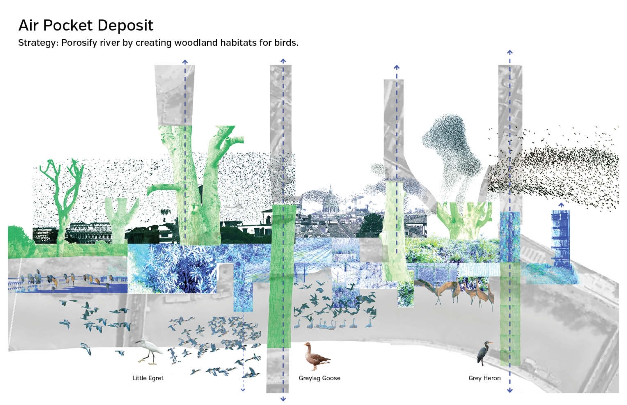 Air pocket deposition in Rome. Strategy: Porosify river by creating woodland habitats for birds.