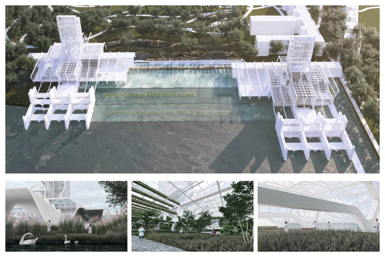 The top view captures the full extent of the conservatory’s footprint—bridging land and water through a modular, climate-resilient framework. Below, a series of atmospheric moments reveal how the architecture supports ecological recovery, vertical farming, and public engagement—turning infrastructure into a shared civic landscape.