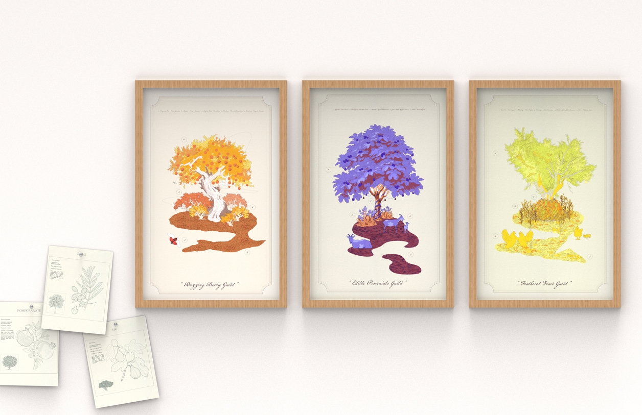 Three framed images of plant communities design