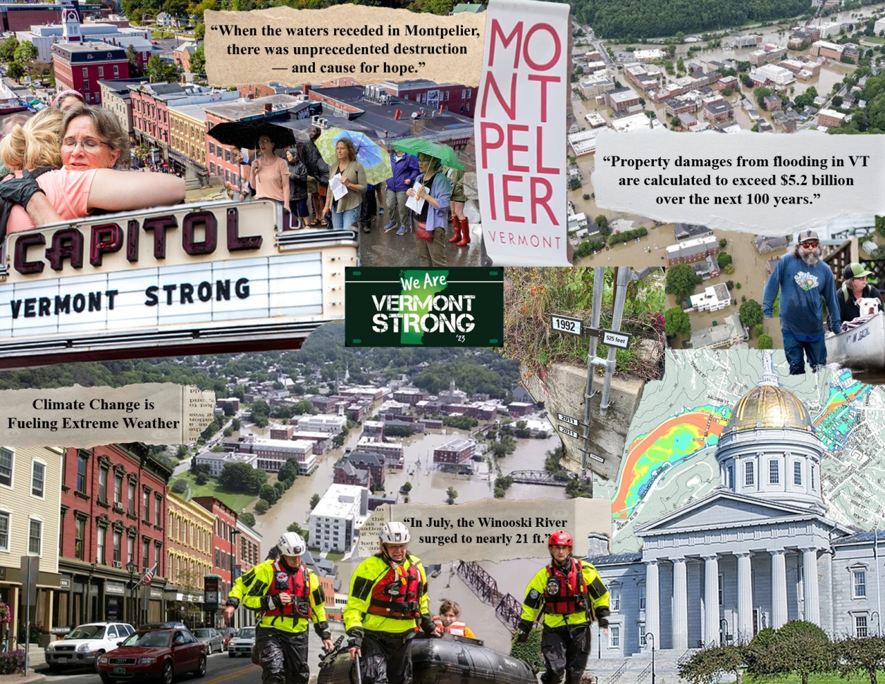 Collage of the project