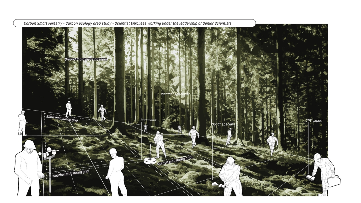 Visual of forest service officers engaging in climate smart forestry within the functioning of USFS. 