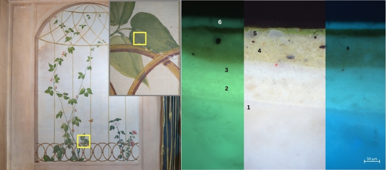 Sample taken from a painted leaf on the west wall of the morning room. Note the location outlined in yellow (left). Cross-section of sample at 400x magnification, epi-illumination, UV-visible (365 nm), and long pass (420 nm) light (right).