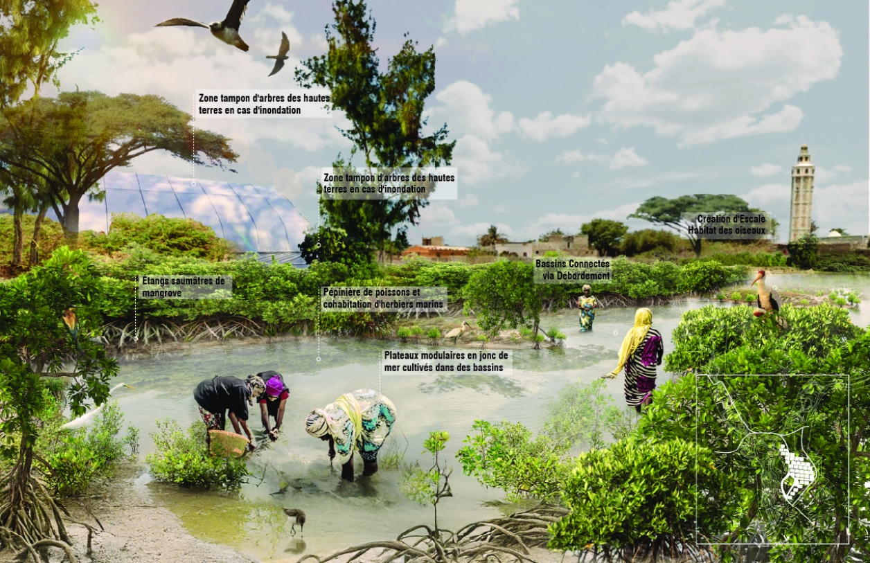 Integrated Mariculture Basins: A key component of the lagoon system that is vital to increasing biodiversity and the ecosystem services economy are shown here.