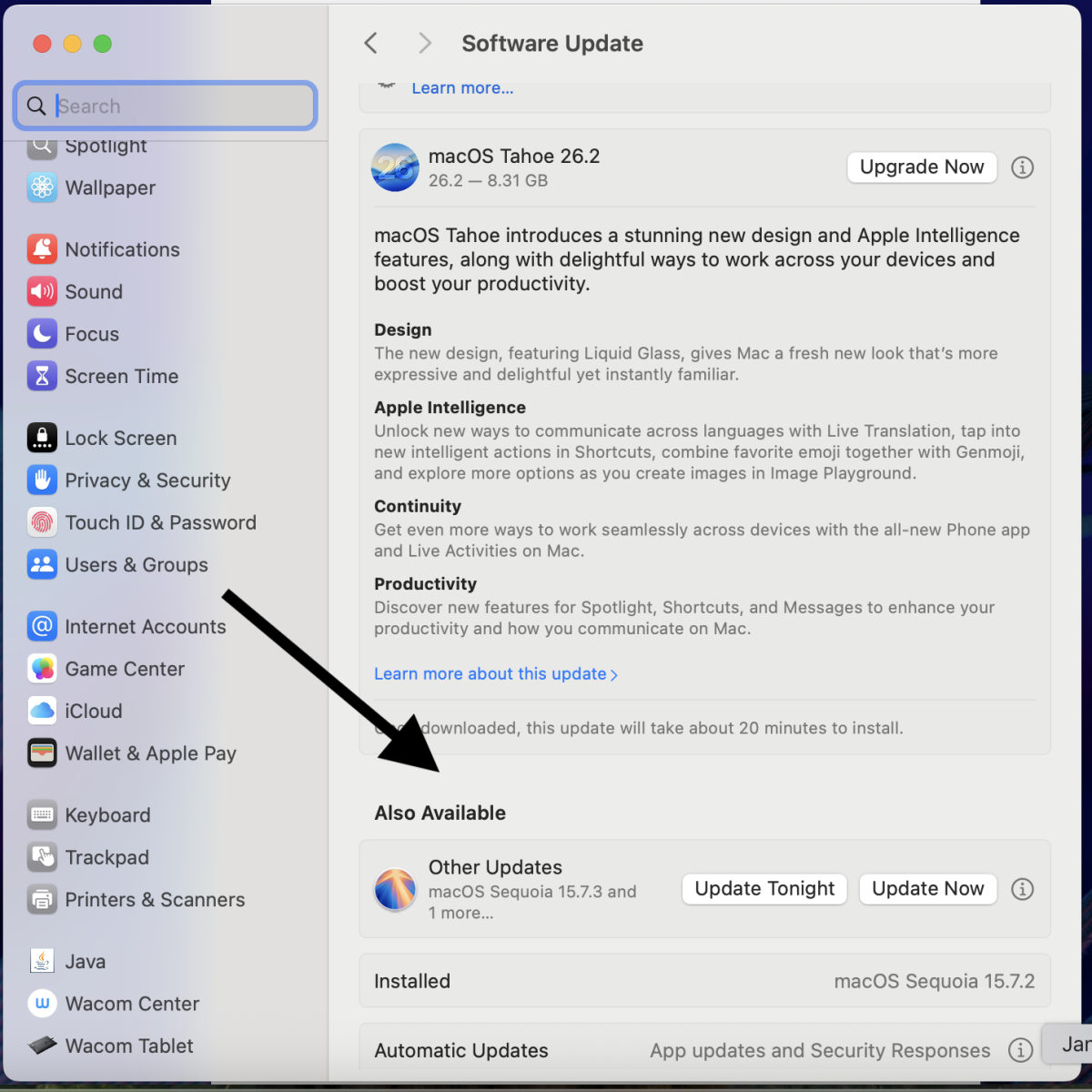 Screenshot of Software Update window with second "More info" circled