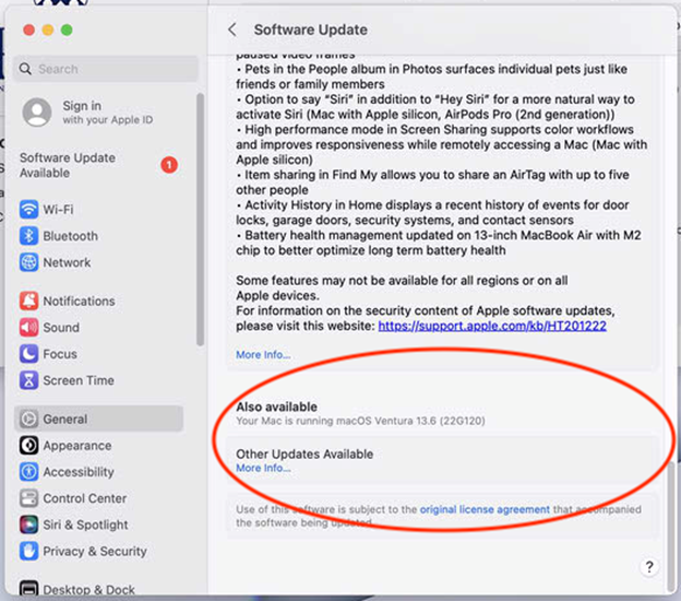 When the Software Update window opens, scroll down to the bottom and click More Info. This will allow you to avoid upgrading to a newer operating system version, while still installing important updates to your current operating system version.